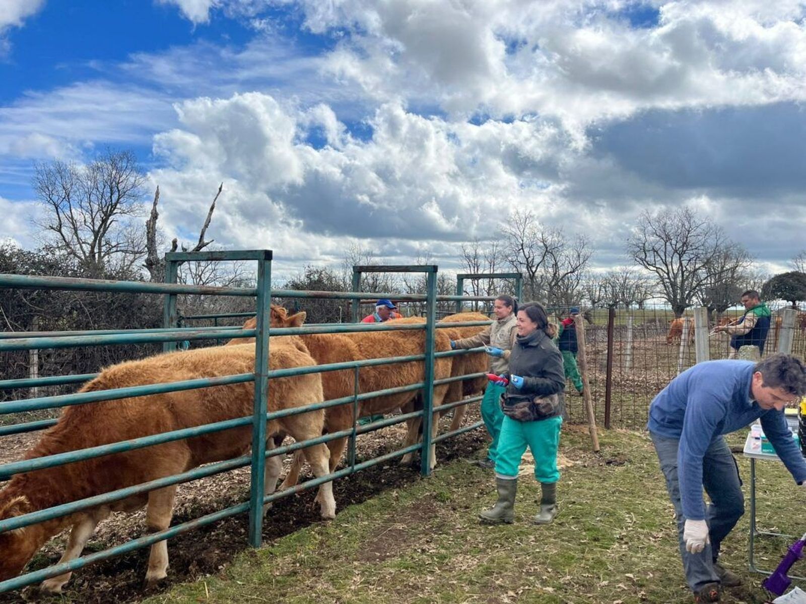 Saneamiento en la provincia de Salamanca. Foto ASAJA