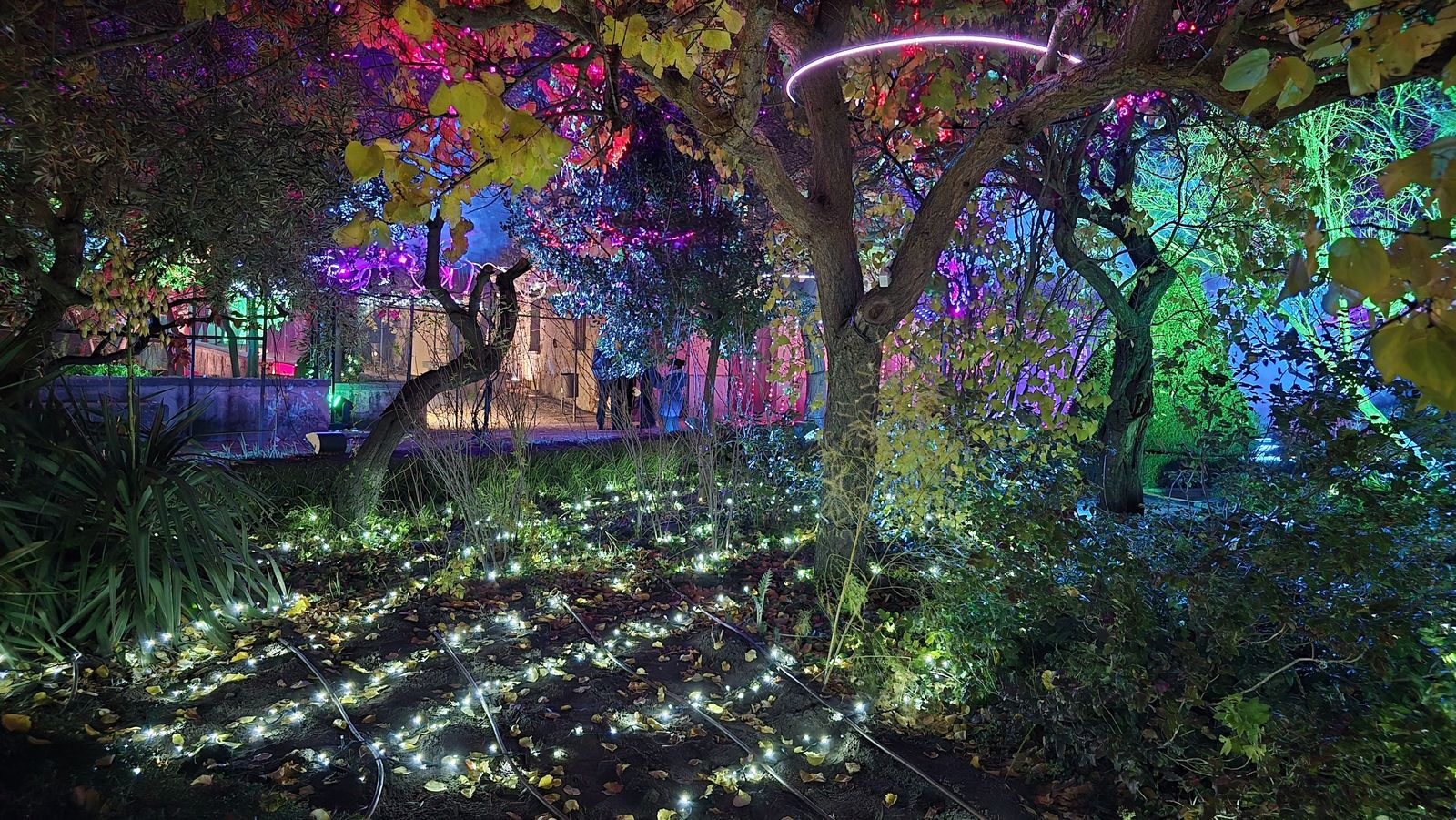 Pase para gráficos del ‘Jardín mágico del Huerto de Calixto y Melibea’