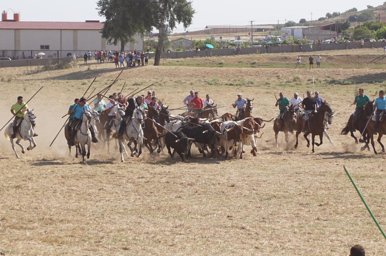 espantes-de-fuentesauco-32