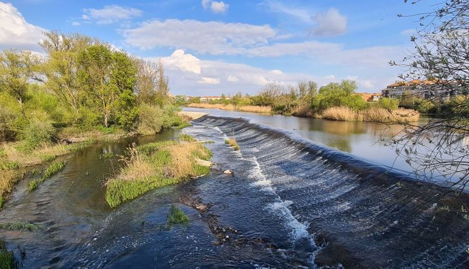 pesquera primavera 2