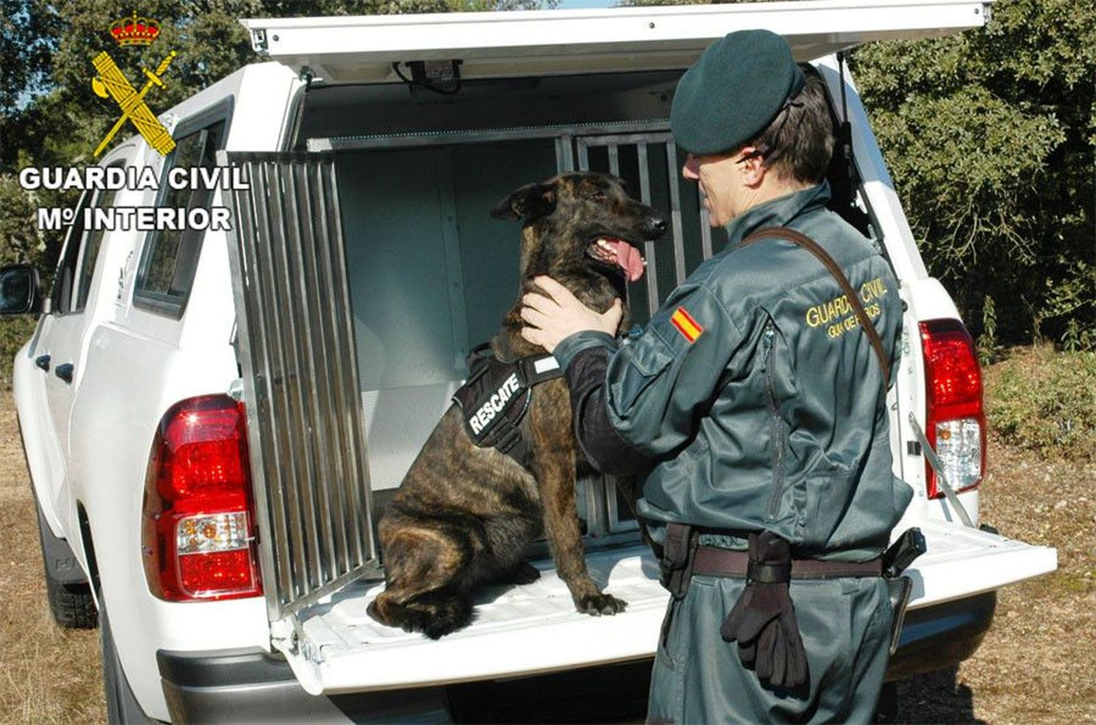 Cinologico guardia civil
