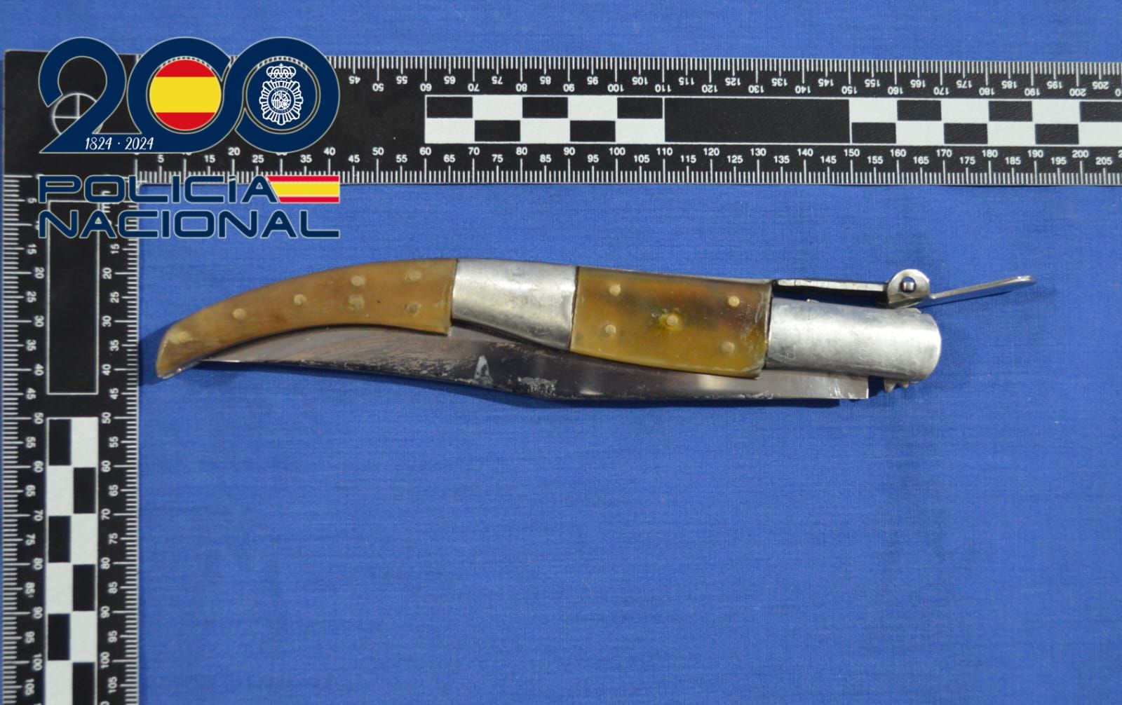 Arma homicida