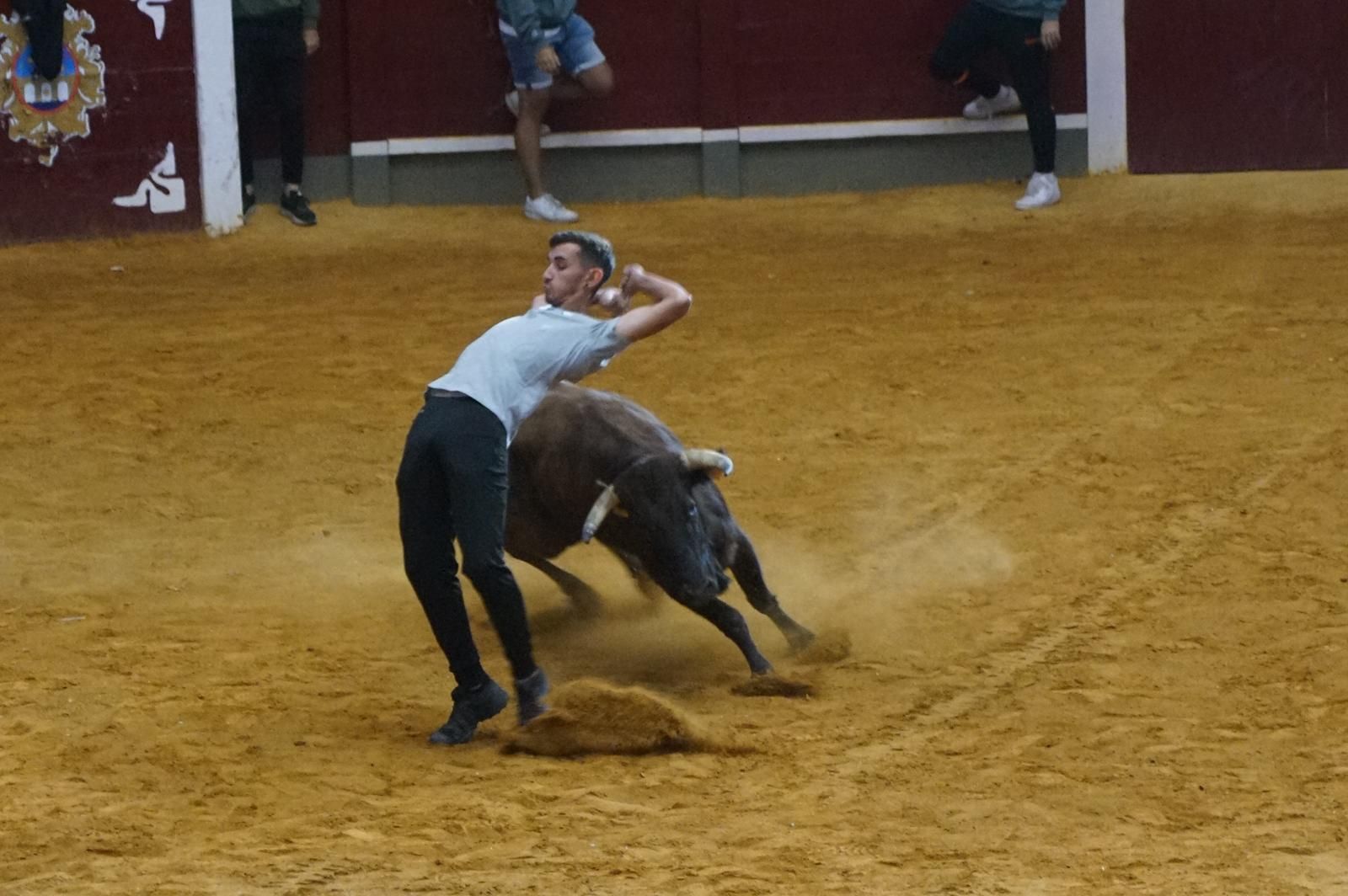 Encierro y capea en Alba de Tormes