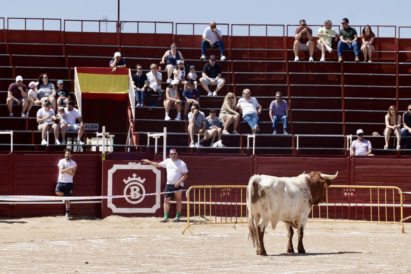 Un novillo en la plaza de toros de Benavente durante las fiestas. FOTO: AYUNTAMIENTO DE BENAVENTE.