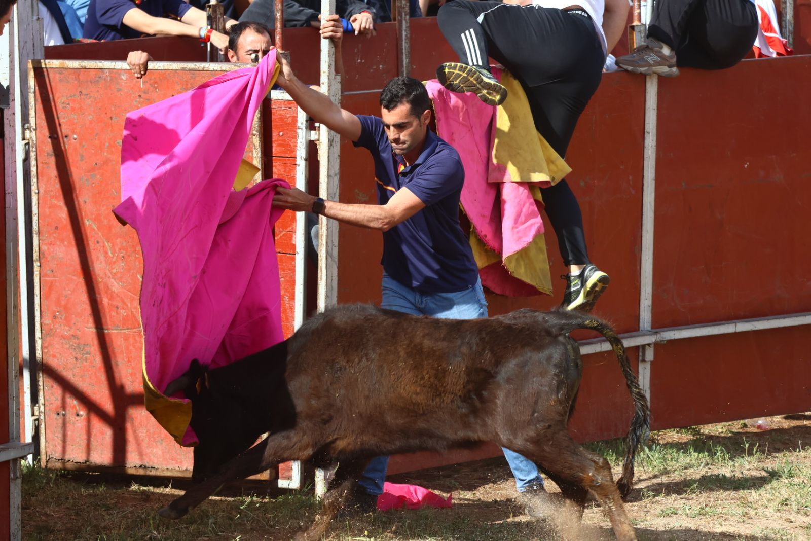 Grand Prix y Capea en Doñinos