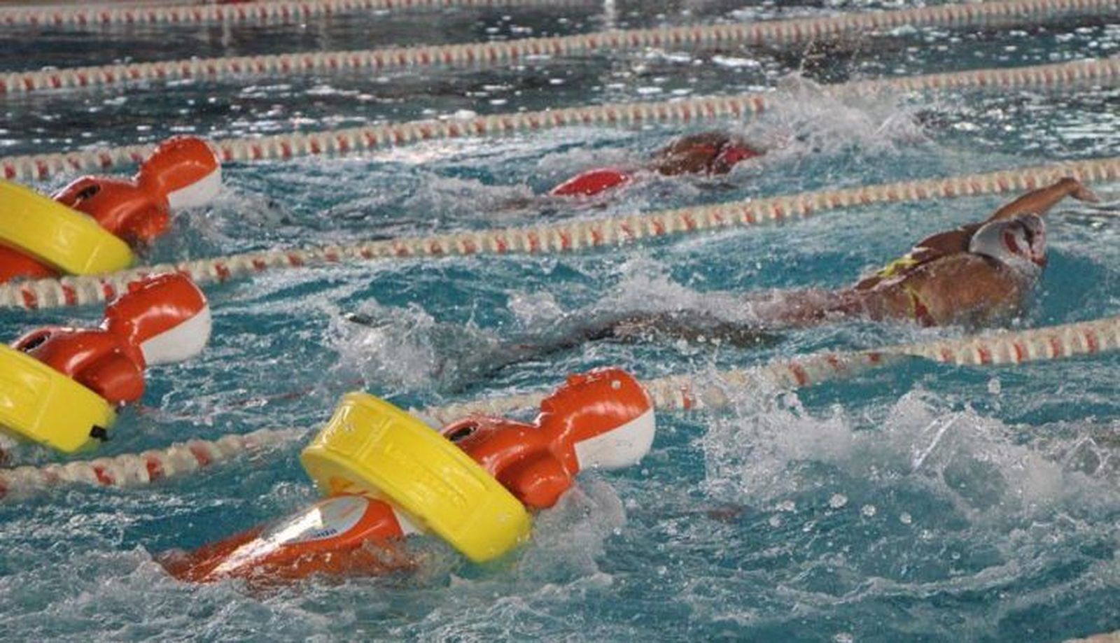 competicion de salvamento y socorrismo