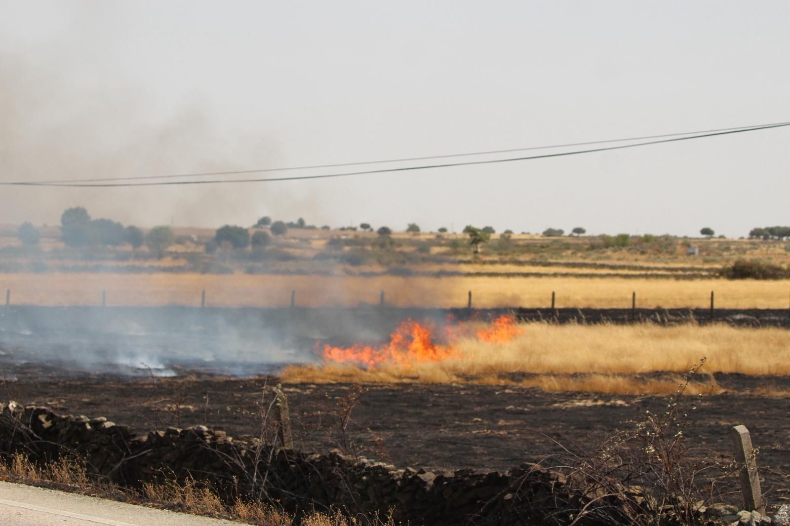 Así han quedado las zonas quemadas durante el incendio de Cipérez