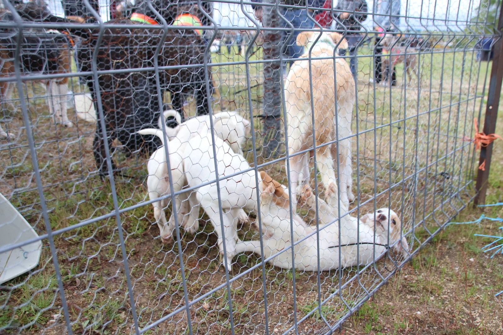 20240501104355-img-2966