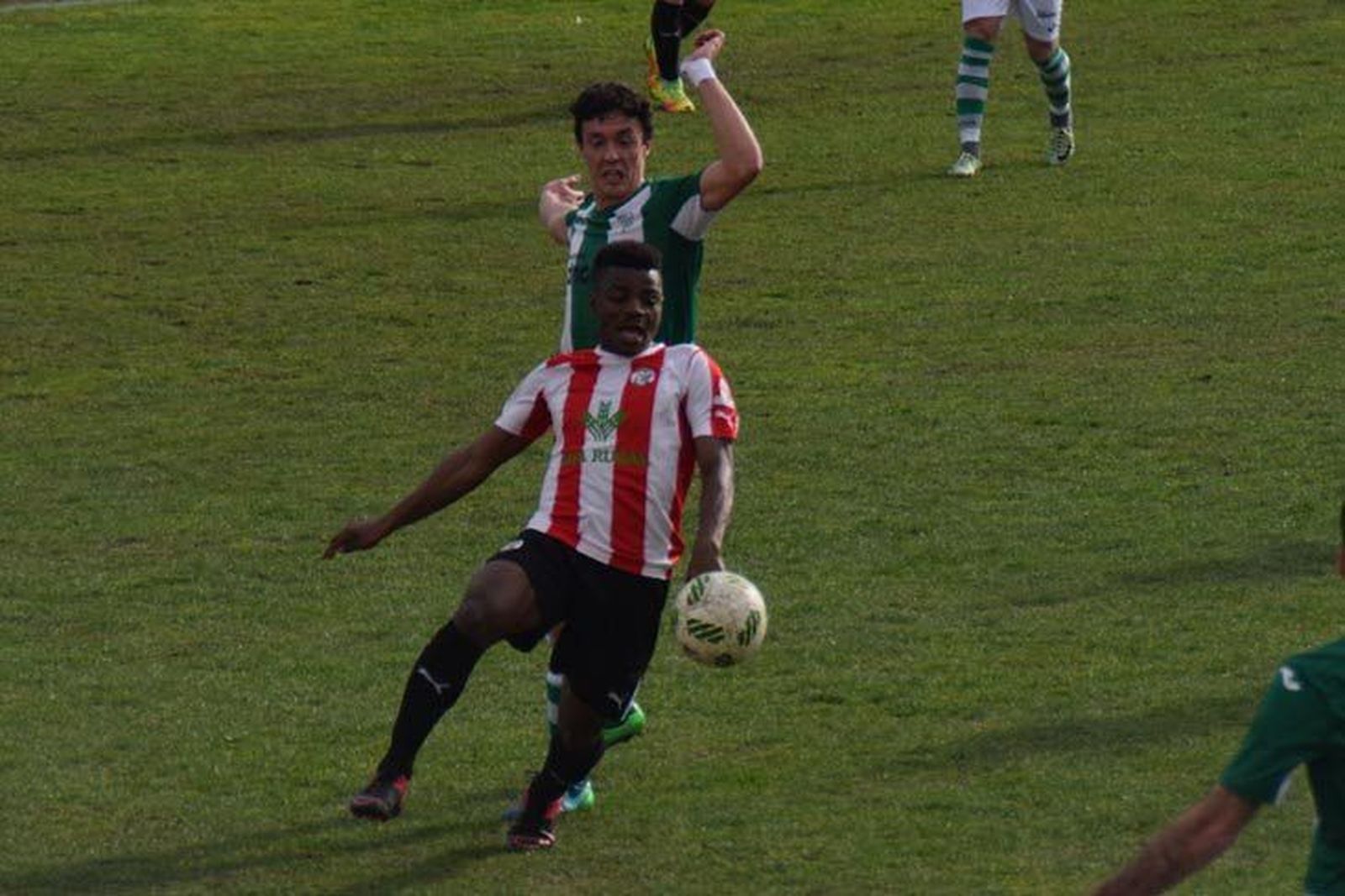 Cebrereña - Zamora CF 16-17