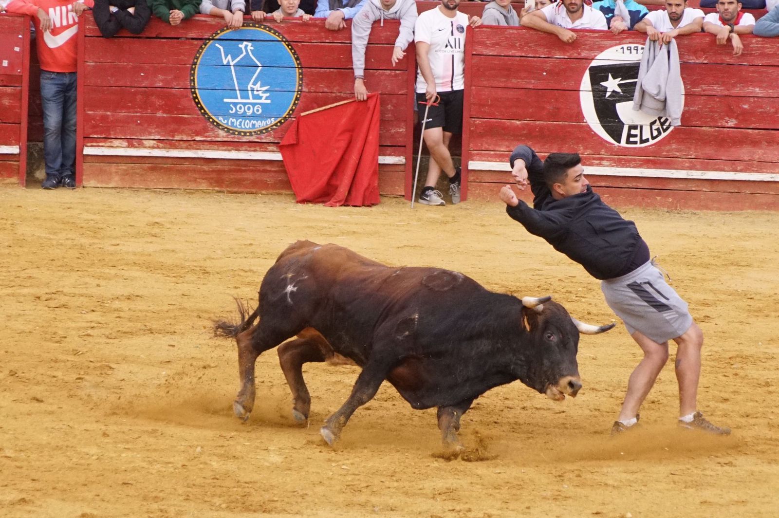 e8846492-f422-4bab-b83f-f78936300715