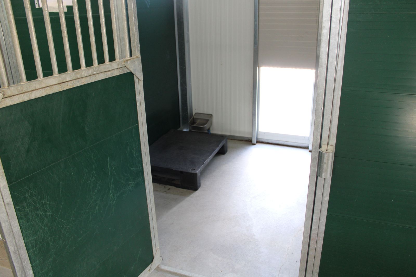 refugio-de-animales-del-ayuntamiento-de-salamanca-58