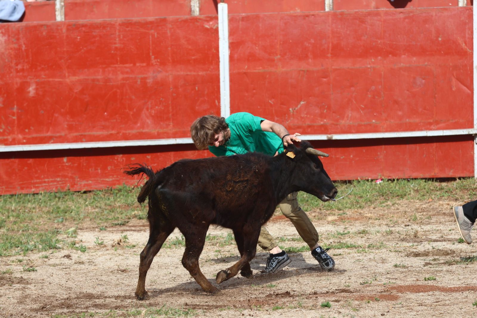 Grand Prix y Capea en Doñinos