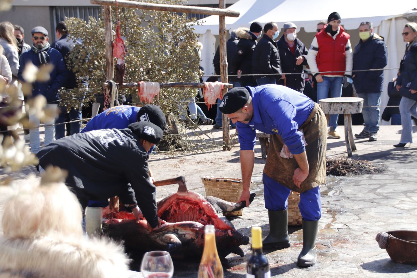 20220219144253-mg-8177