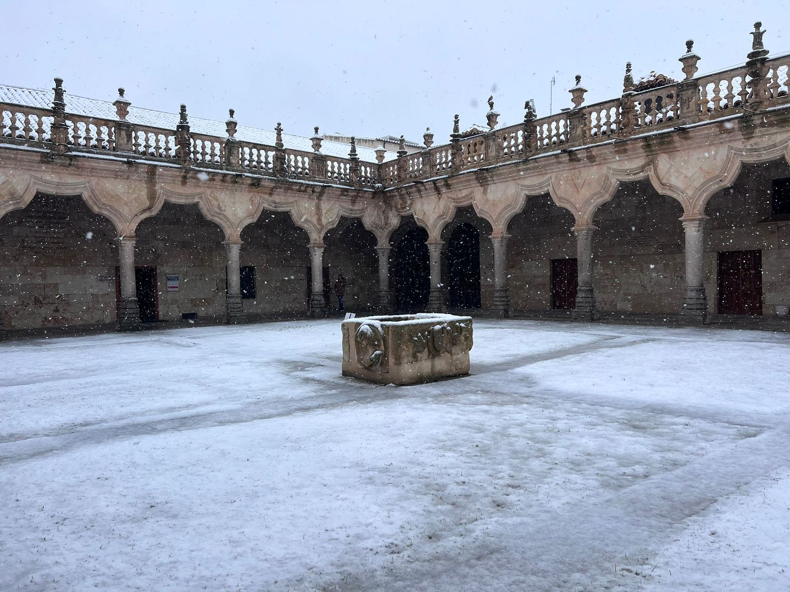 La nieve anega carreteras y tiñe de blanco Salamanca capital y provincia: imágenes de la nevada de este 28 de enero