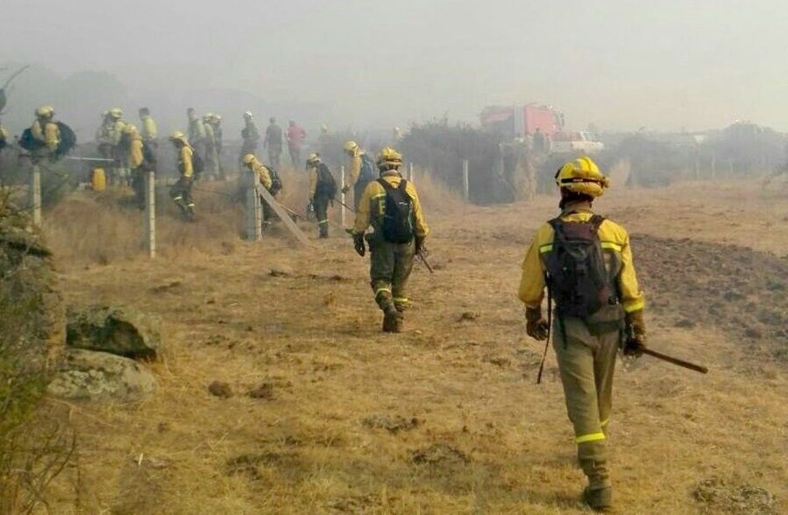 Extinguido el incendio forestal en San Felices de los Gallegos tras calcinar 113 hectáreas de matorral