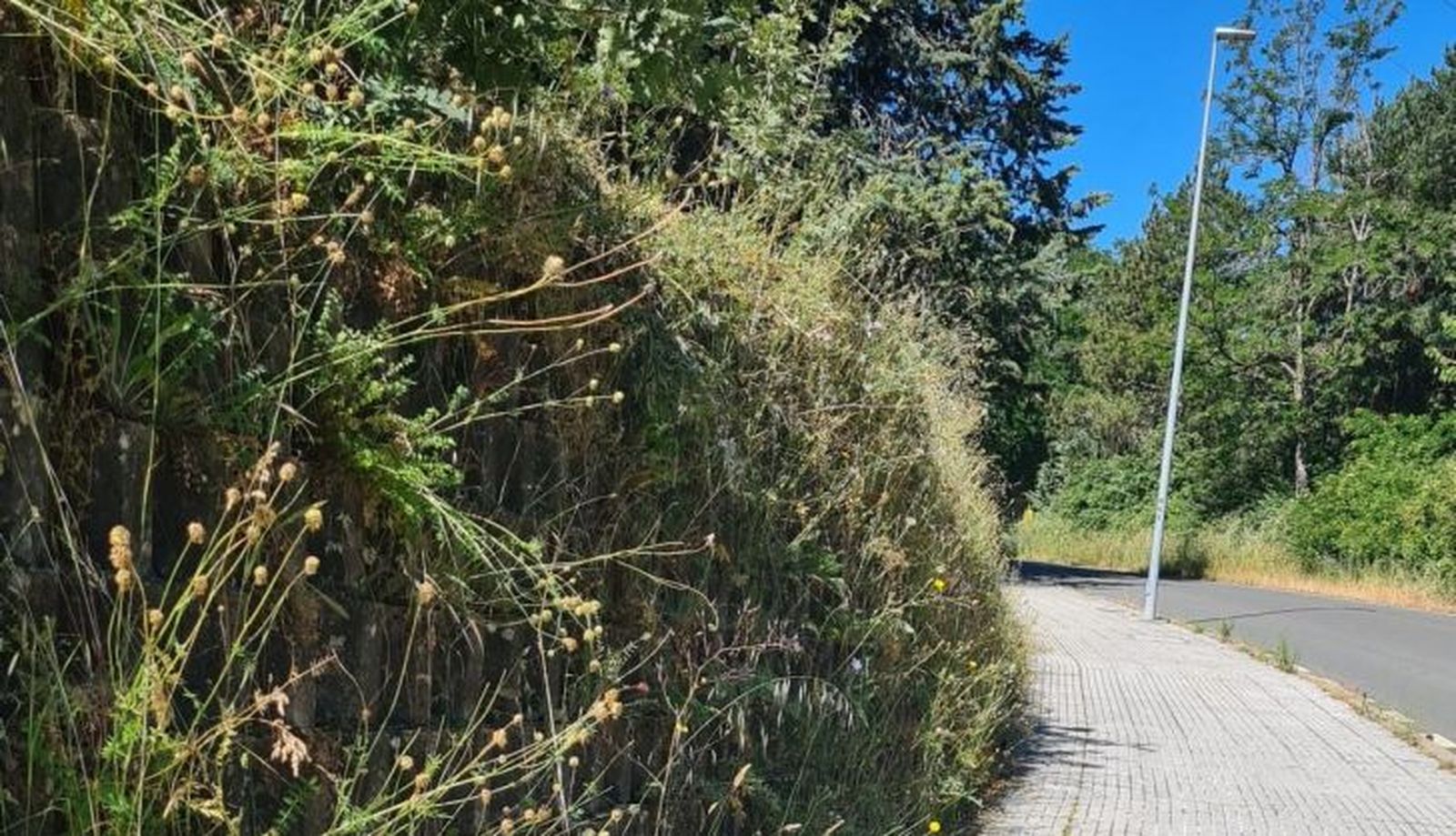 Imagen de WhatsApp 2024 06 14 a las 13.20.43 2c3f3c8e