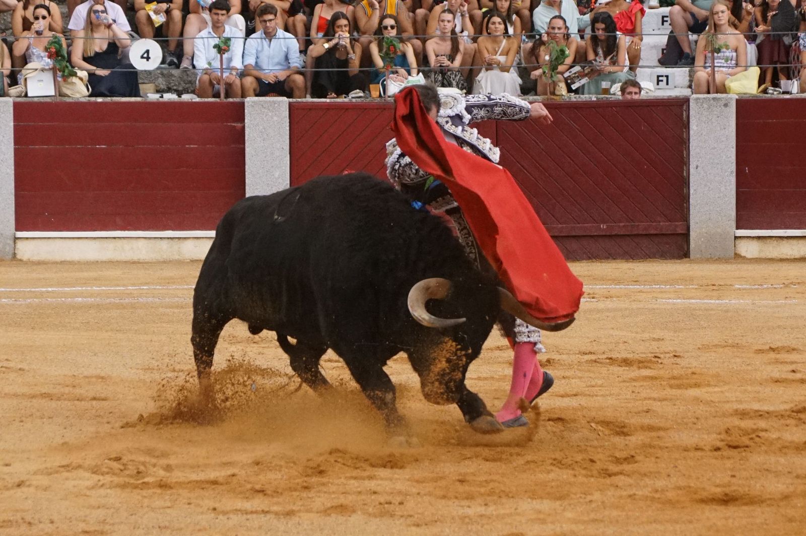 Javier Castaño se despide de Guijuelo y Damián Castaño, su hermano, e Ismael Martín salen a hombros en Guijuelo