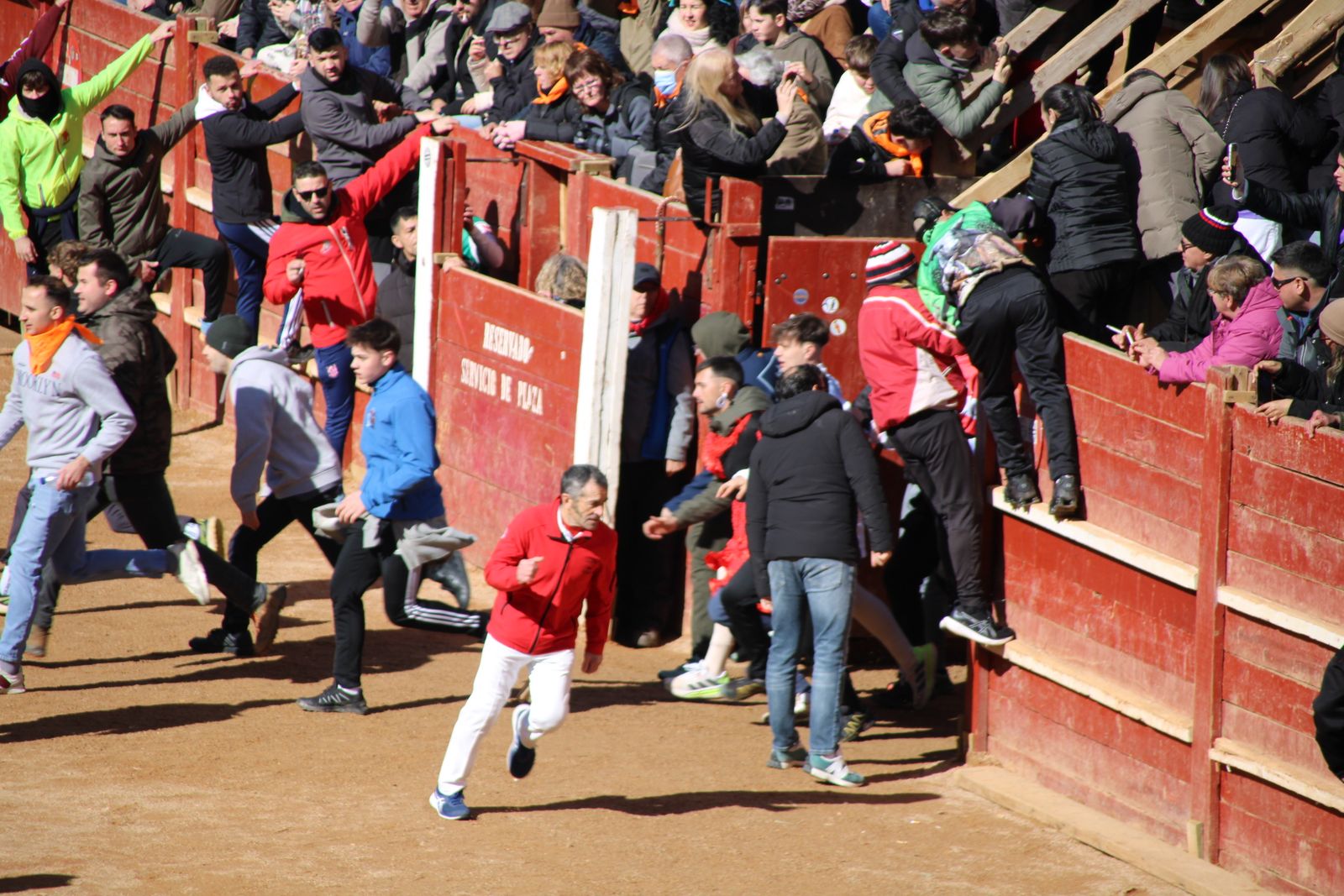 Encierro de sábado en el Carnaval del toro 2026 de Ciudad Rodrigo