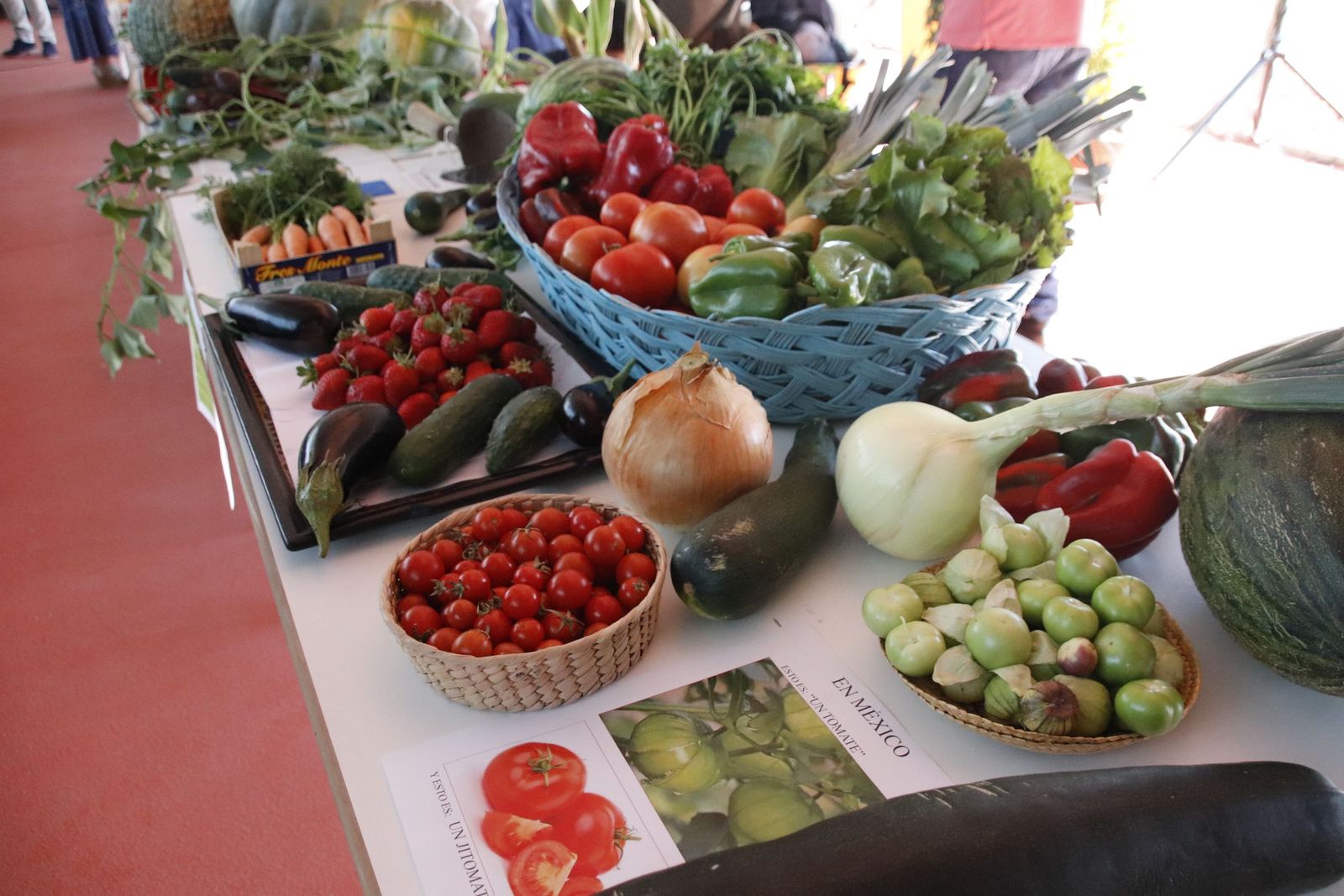 imagen archivo, huertos, bio, agricultura