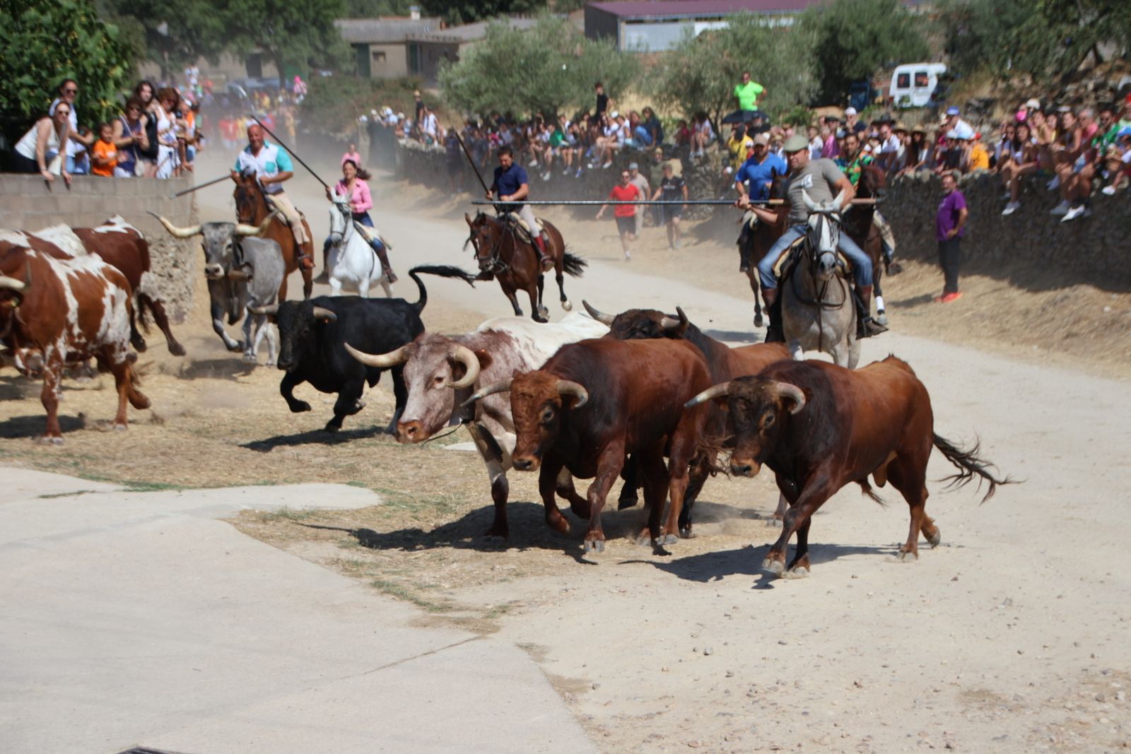 Lumbrales encierro a caballo