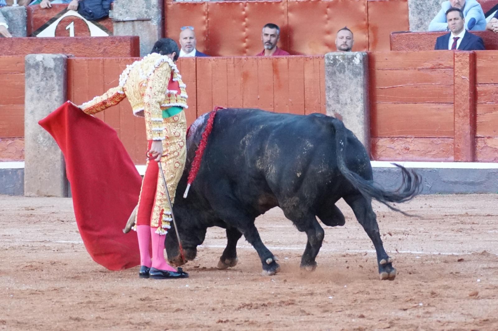 Emilio de Justo, Juan Ortega y Roca Rey inauguran el cartel de figuras en la feria de Salamanca: la corrida de Garcigrande en imágenes