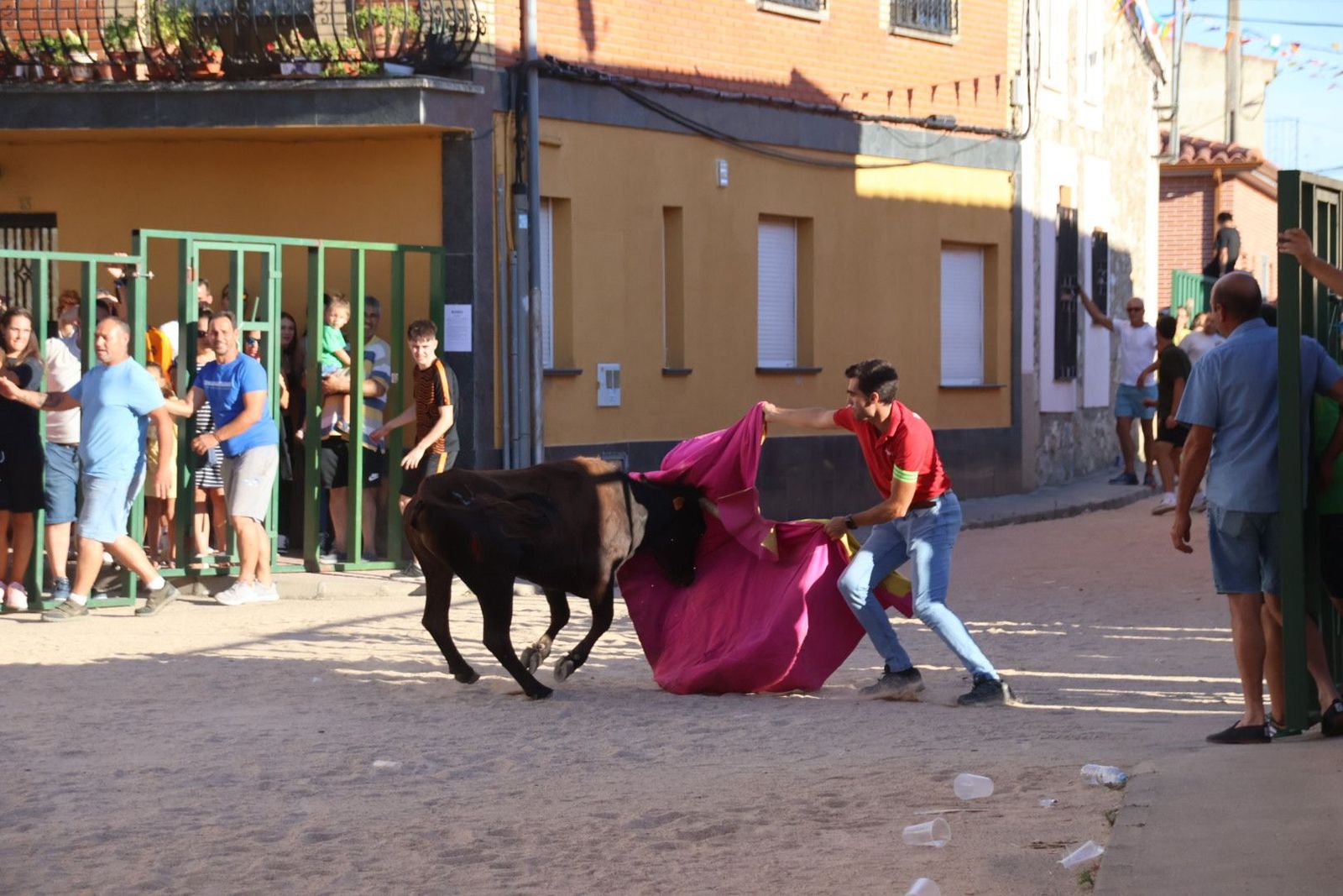 20240817184305-img-4476