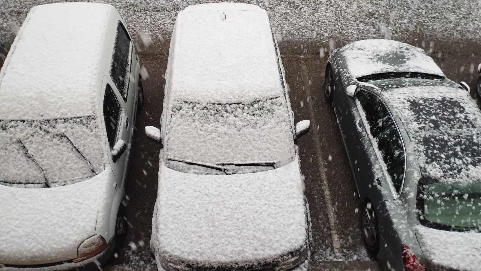 GALERÍA | Nieve en Zamora capital este miércoles