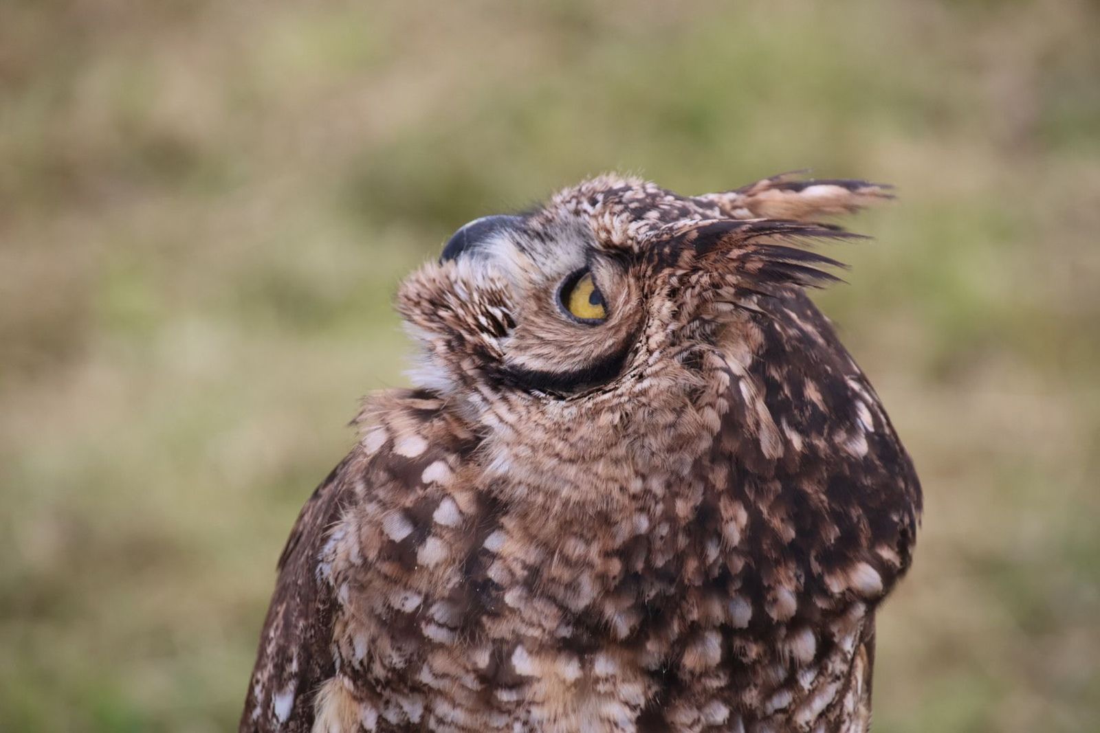 20240501102057-img-2862