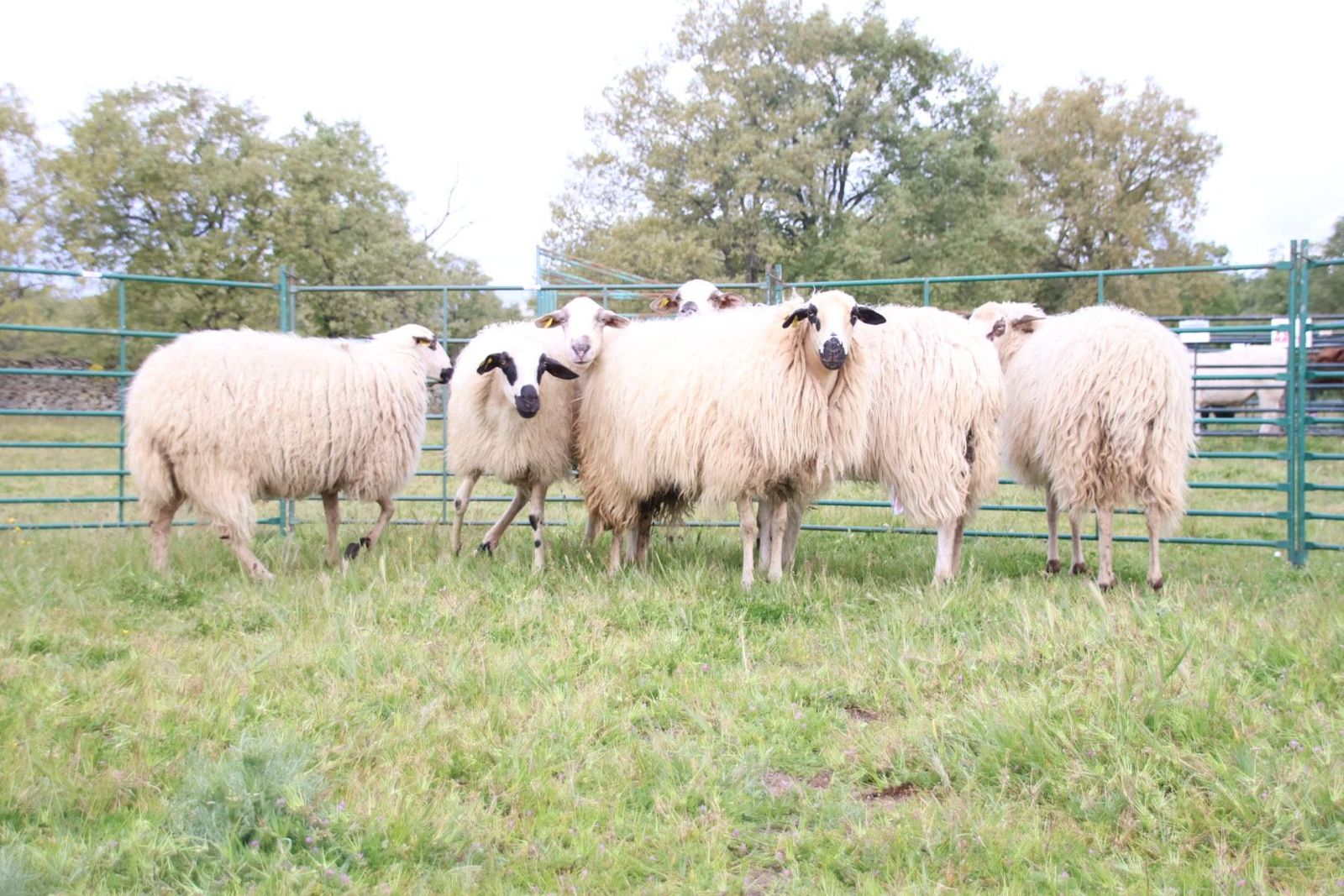 20240501103521-img-2928