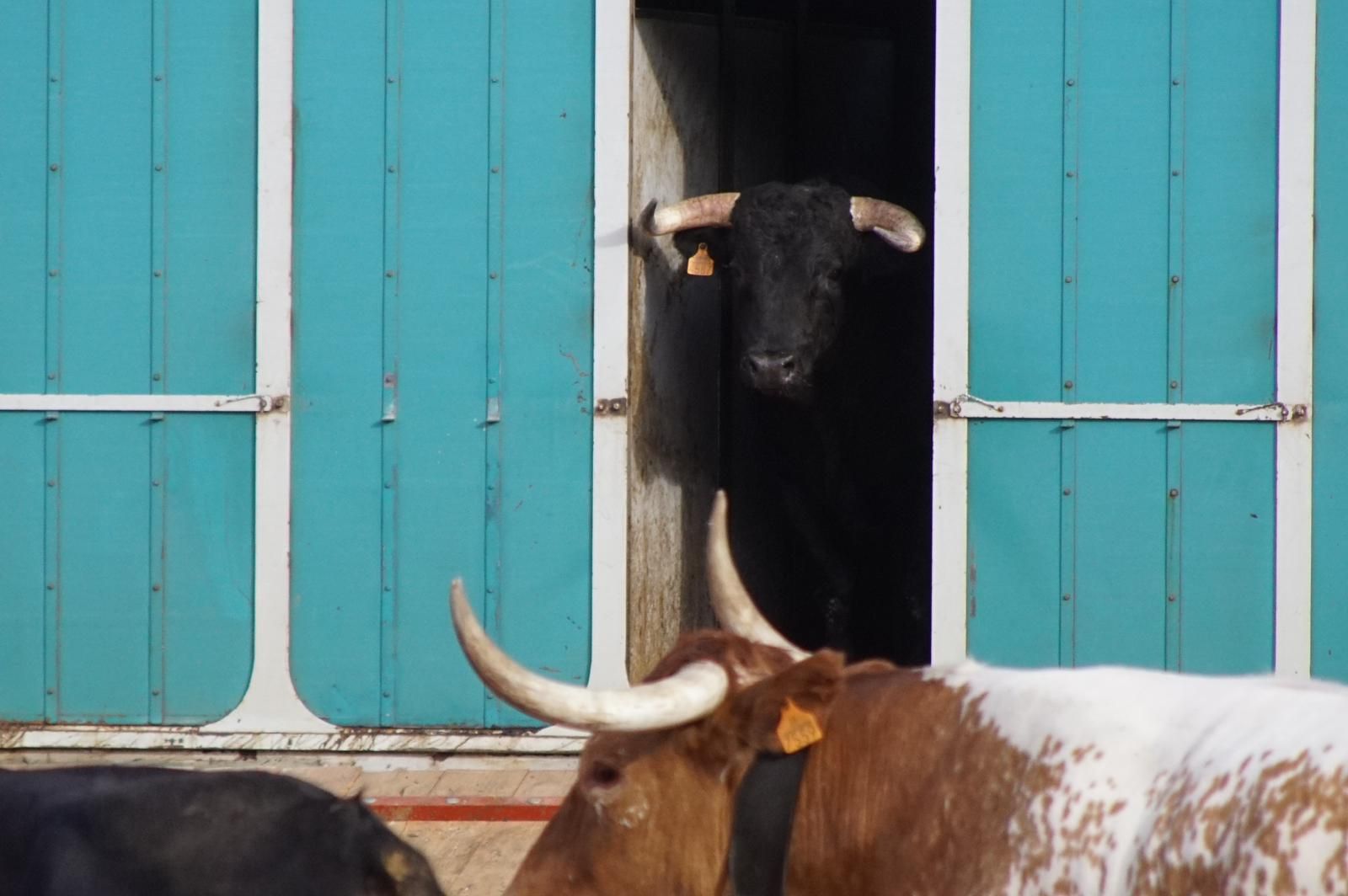 whatsapp-image-2023-09-08-at-19-29-10