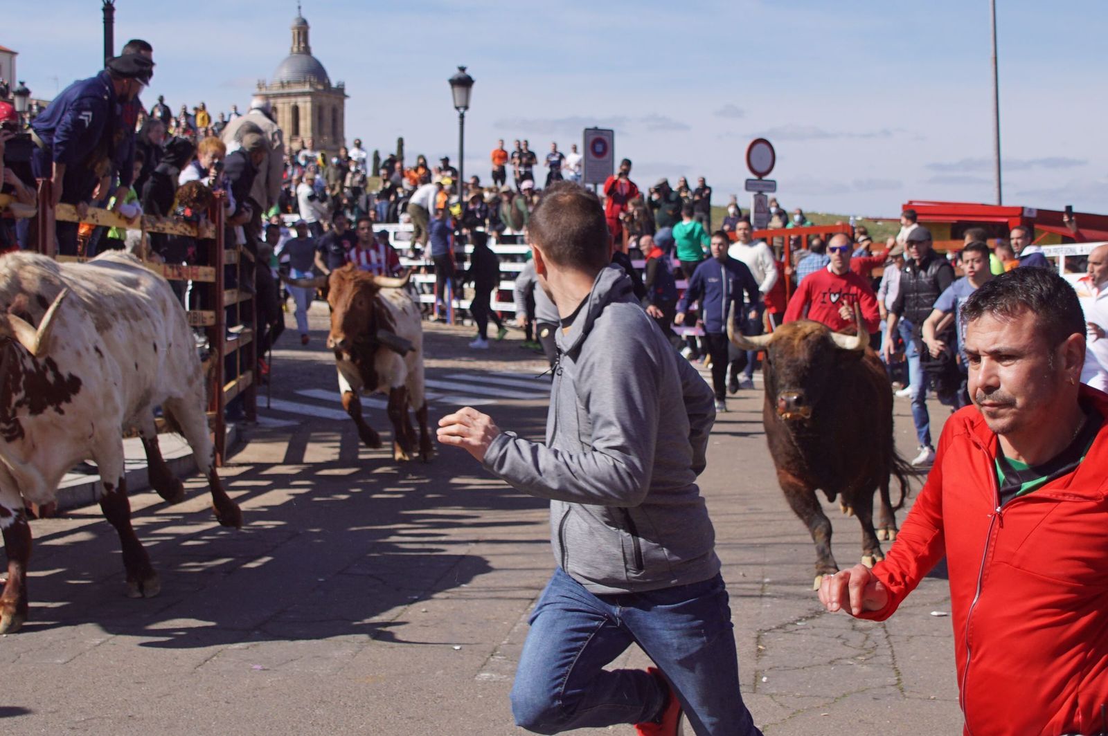 encierro-capea-y-ambiente-en-ciudad-rodrigo-en-este-lunes-de-carnaval-13