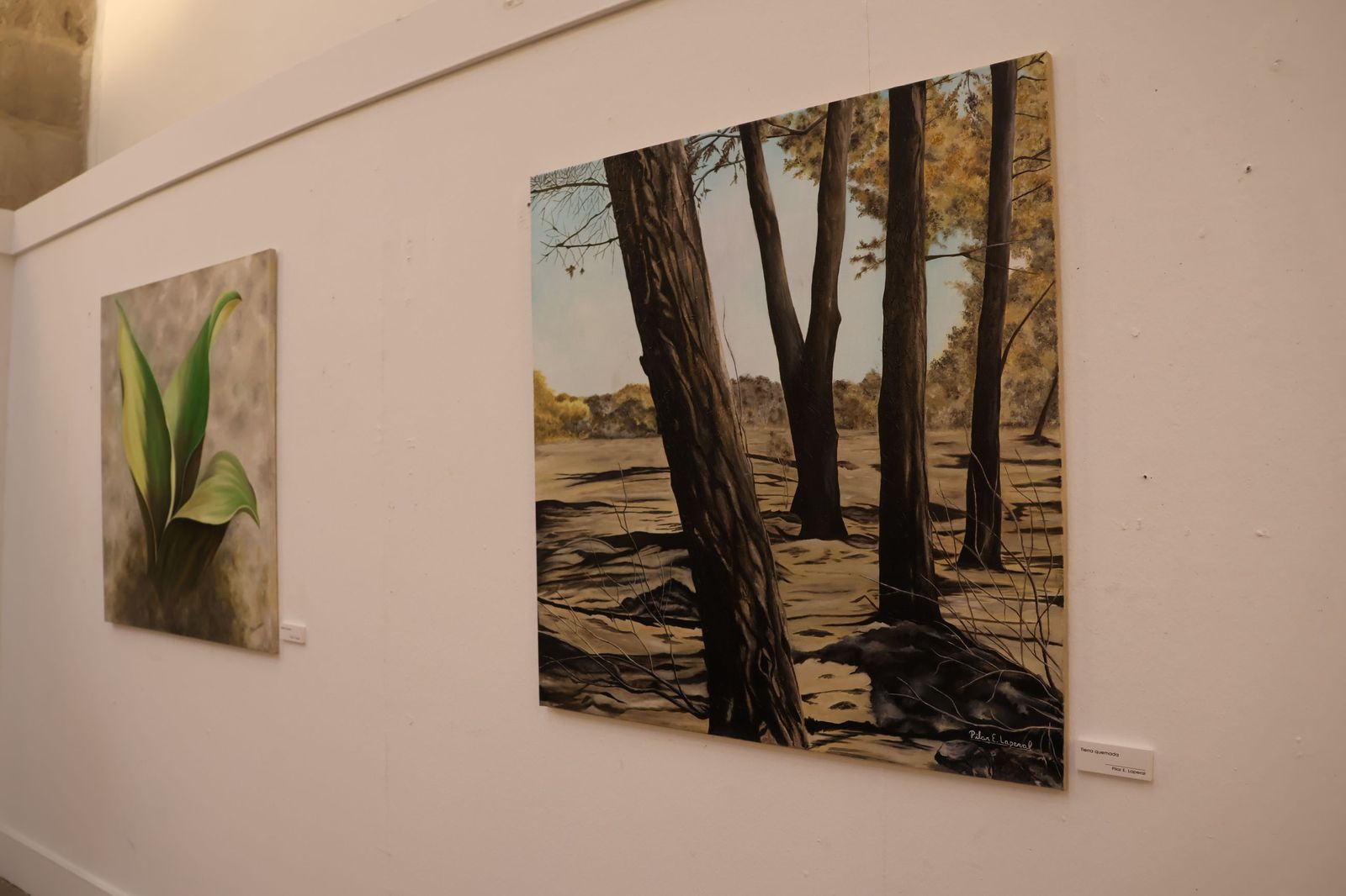 Alma natural’, la nueva exposición de Pilar E. Laperal en el Palacio de la Encarnación