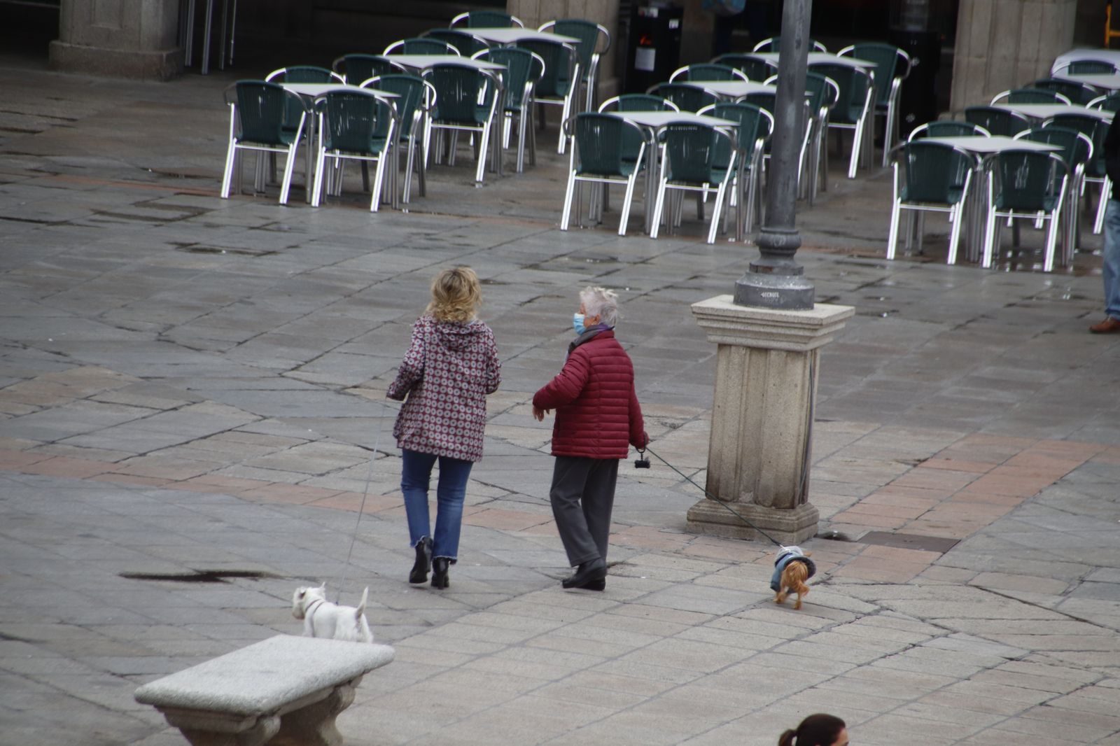 Gente paseando con sus perros por la Plaza Mayor de Salamanca