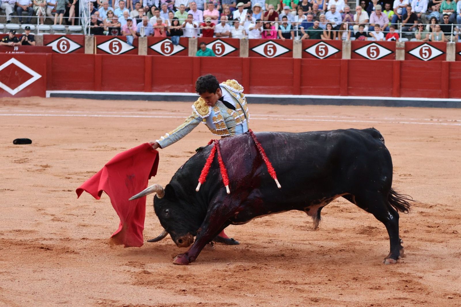 20230910185942-img-2207