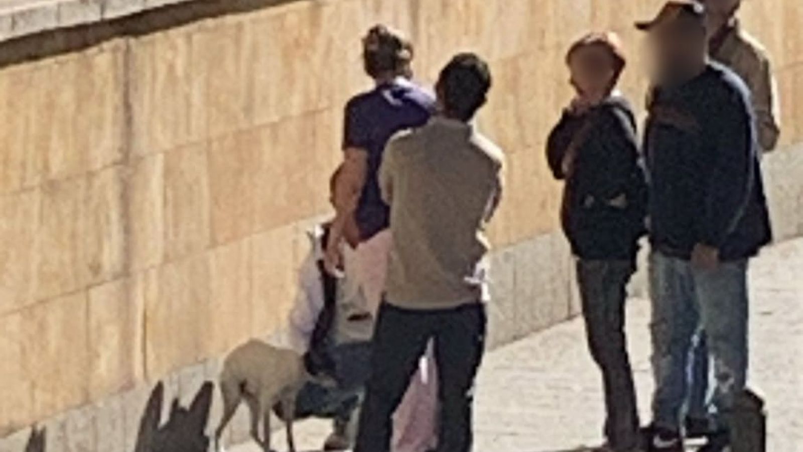 Un perro se precipita desde un balcón en la Cuesta de San Blas