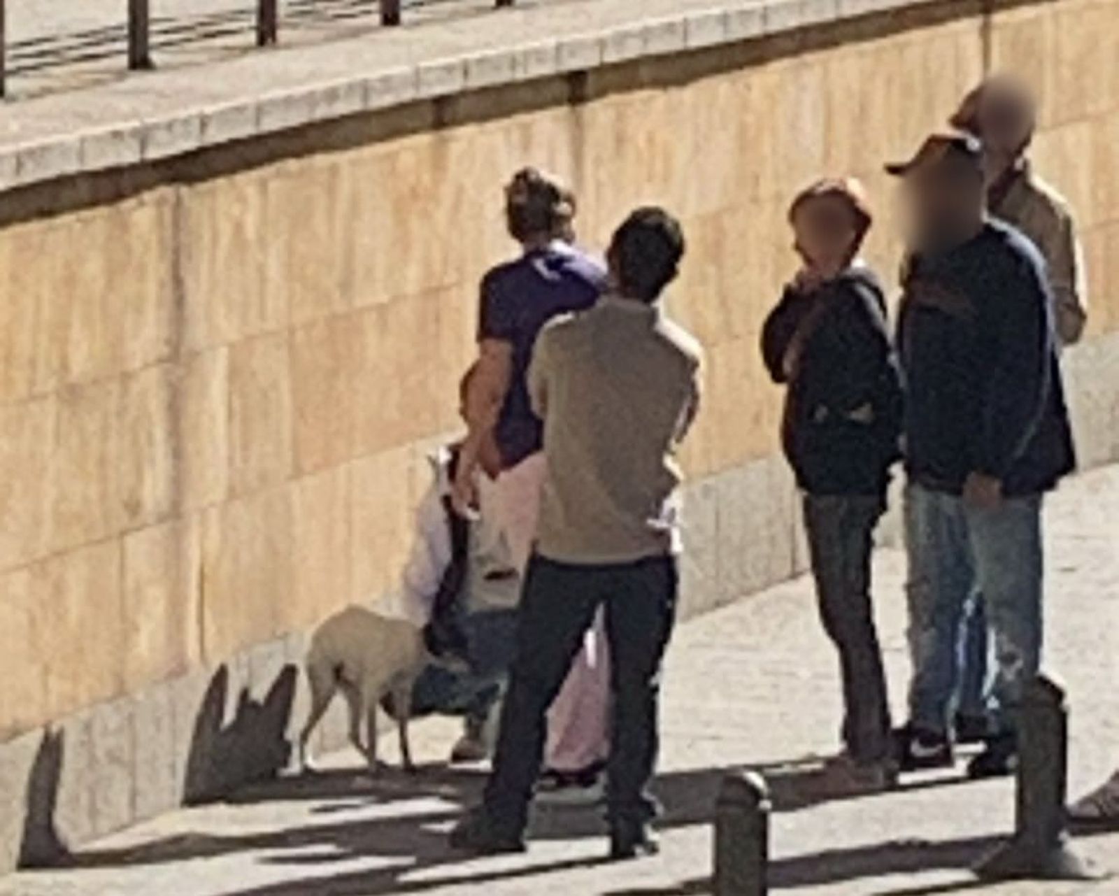 Un perro se precipita desde un balcón en la Cuesta de San Blas