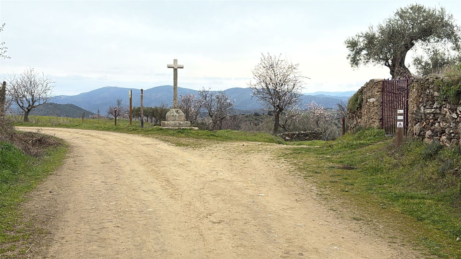 whatsapp-image-2025-02-15-at-11-14-33