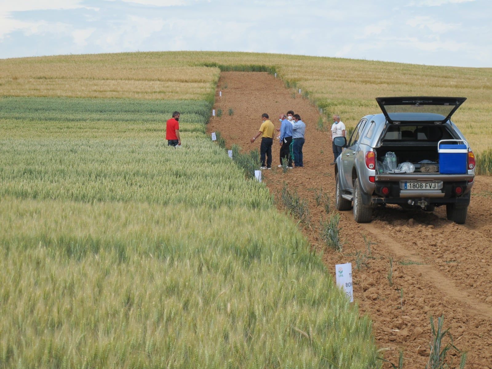 Agricultores visitan un cultivo