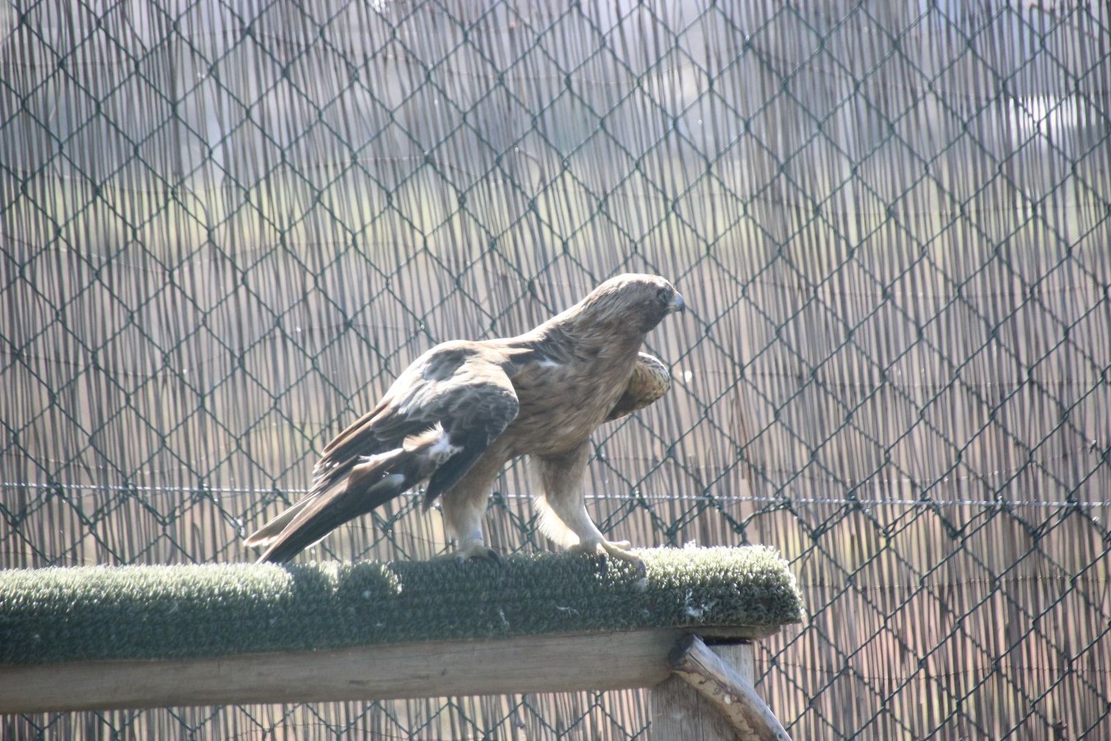 20230304151744-img-1662