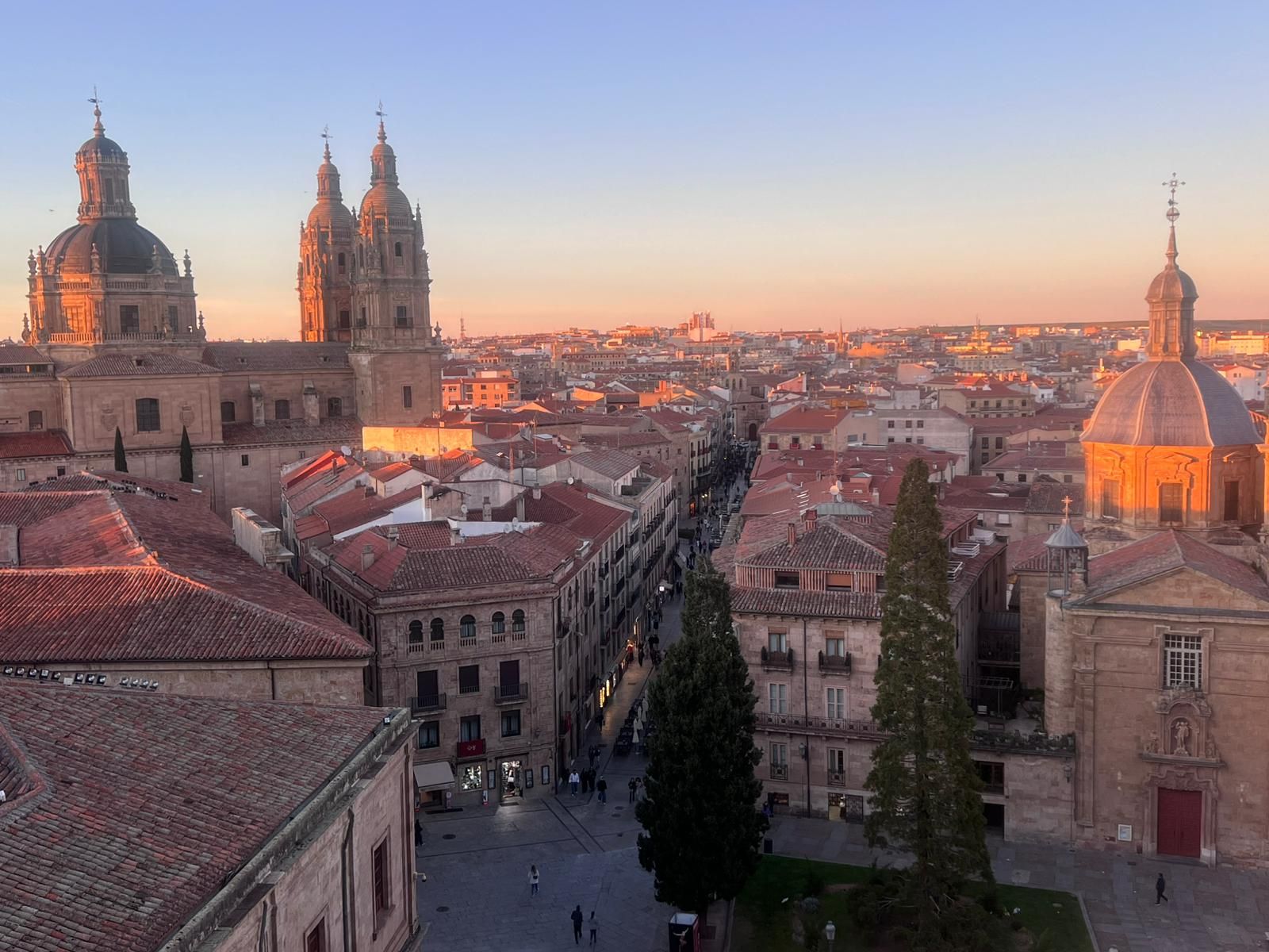 Reportaje Ieronimus+