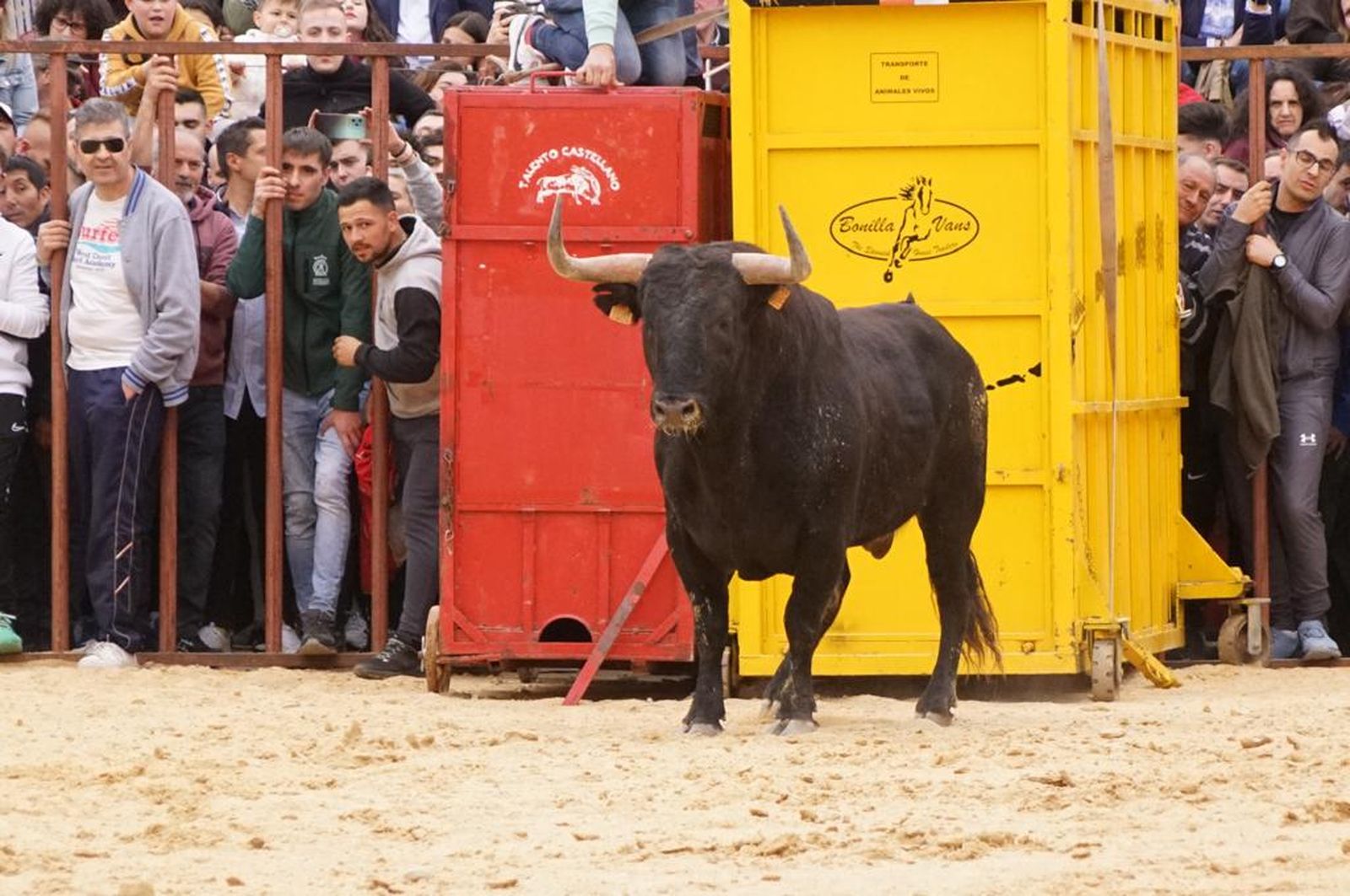 ambiente-y-participacion-durante-el-toro-del-voto-en-villoria-suelta-de-dos-toros-del-cajon-foto-juanes-54