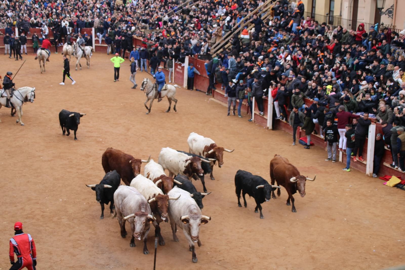 Encierro a Caballo en el Carnaval del Toro 2026 de Ciudad Rodrigo