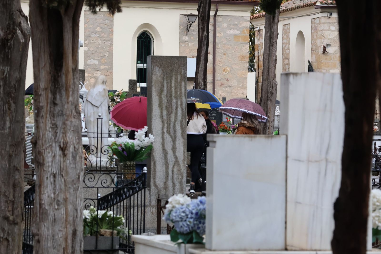 GALERÍA | La lluvia no detiene la tradición: los zamoranos acuden al cementerio para recordar a sus fallecidos