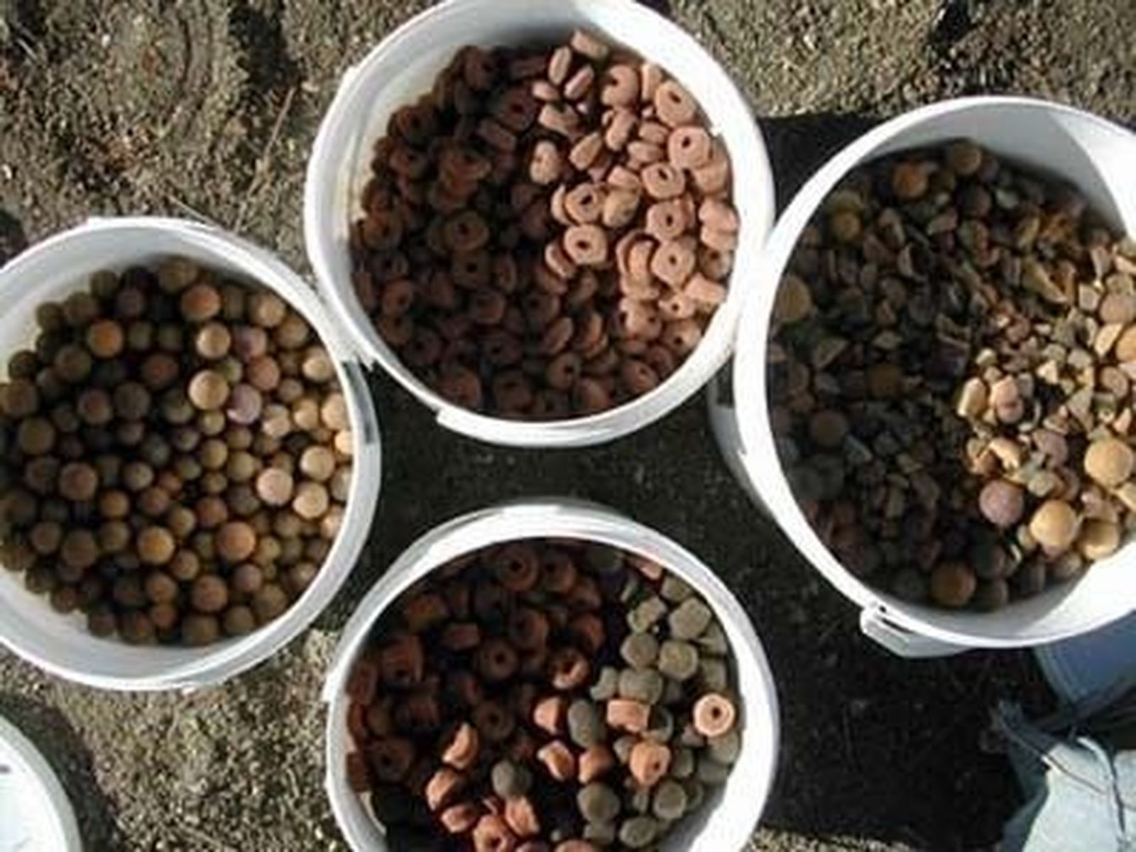 Confecarne protesta por la prohibición de harinas animales