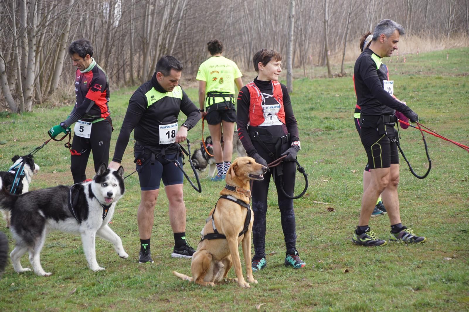 iv-canicross-alba-de-tormes-28