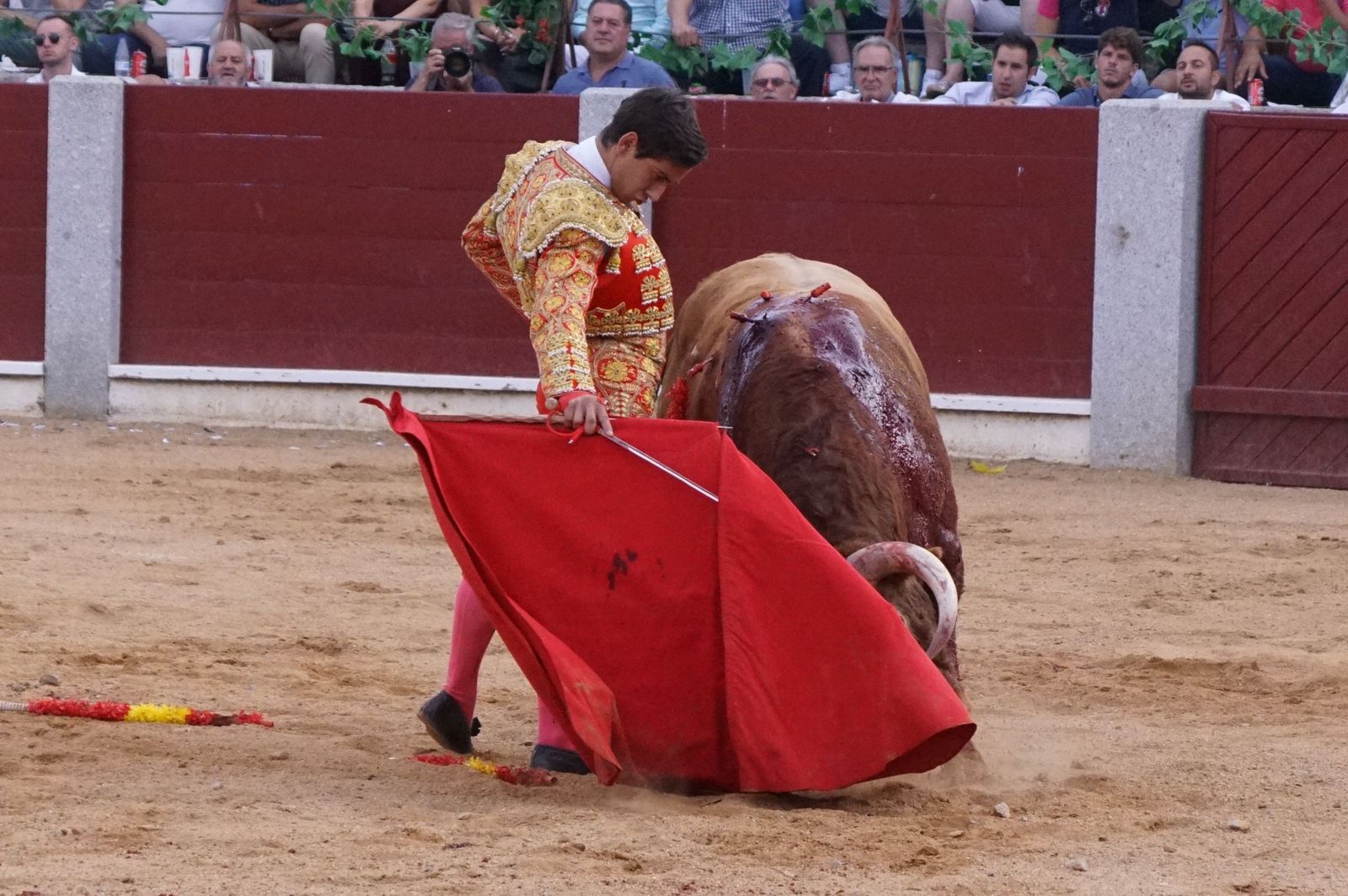 corrida-rejones-guijuelo-8