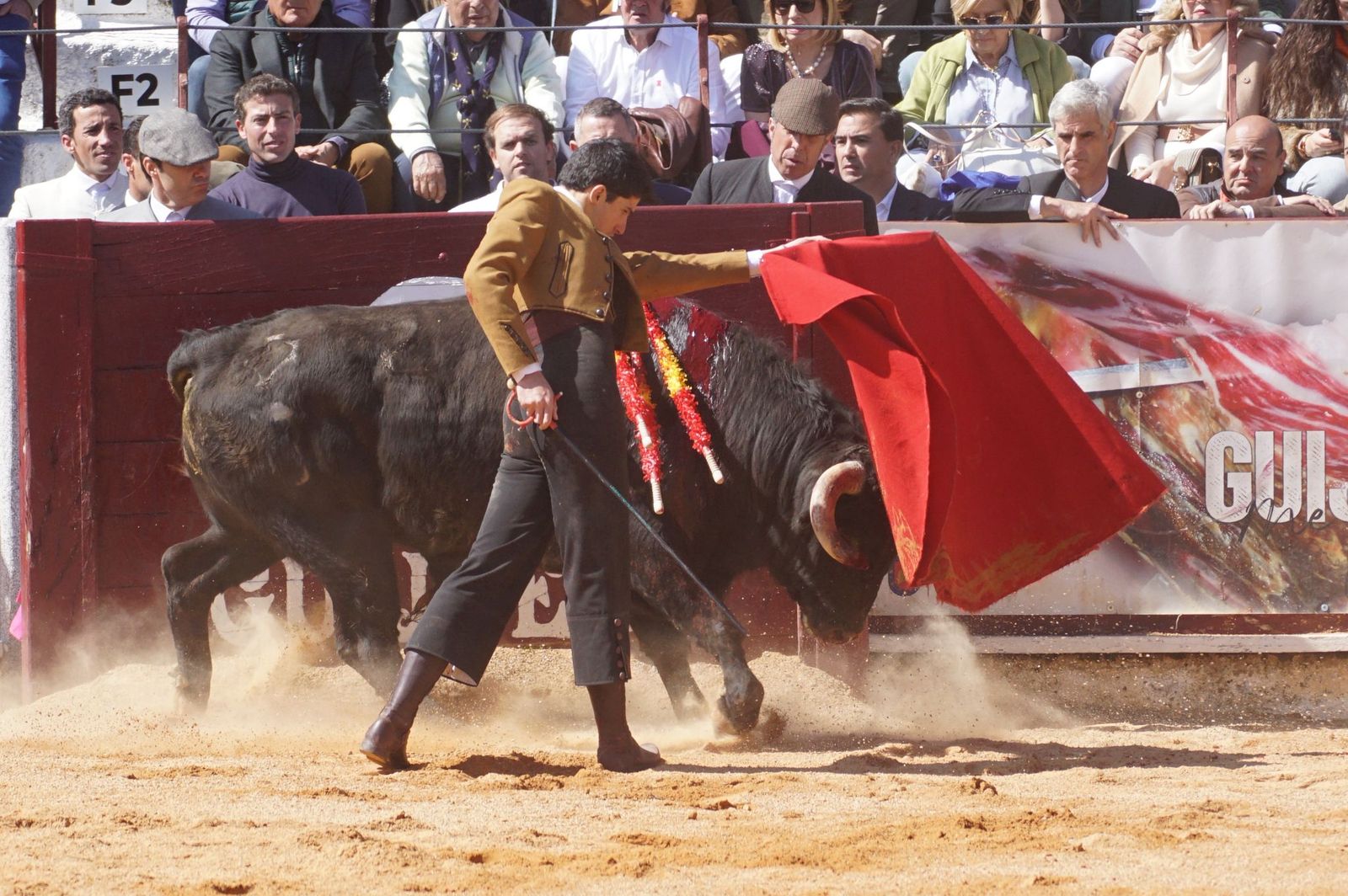Festival taurino solidario por la esclerosis múltiple en Guijuelo