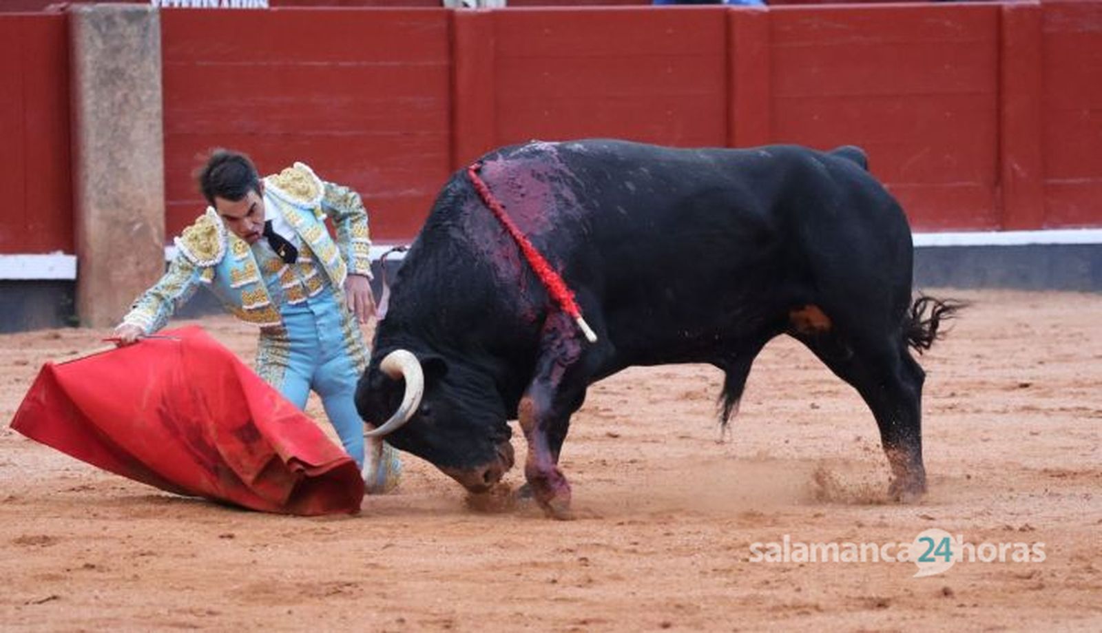 GALERÍA | Corrida concurso de despedida de López Chaves y El Juli: momentos más destacados del último festejo de abono de la Feria Taurina Virgen de la Vega 2023. Fotos Andrea M.