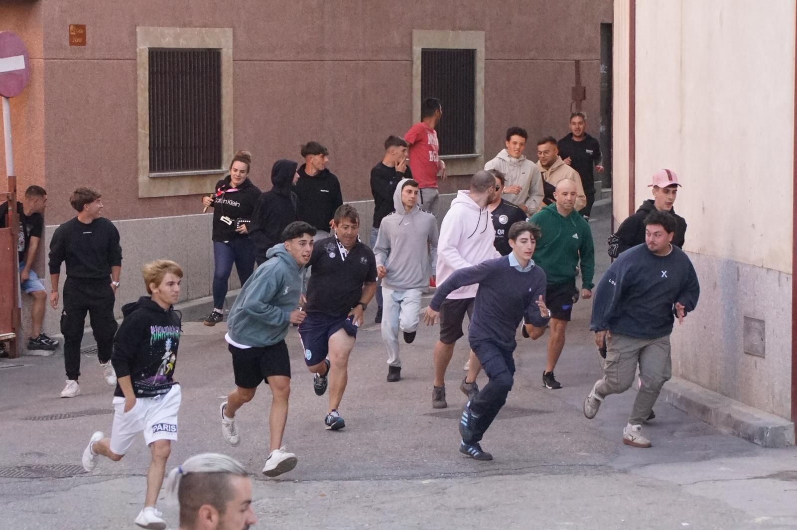 Encierro y capea en Alba de Tormes