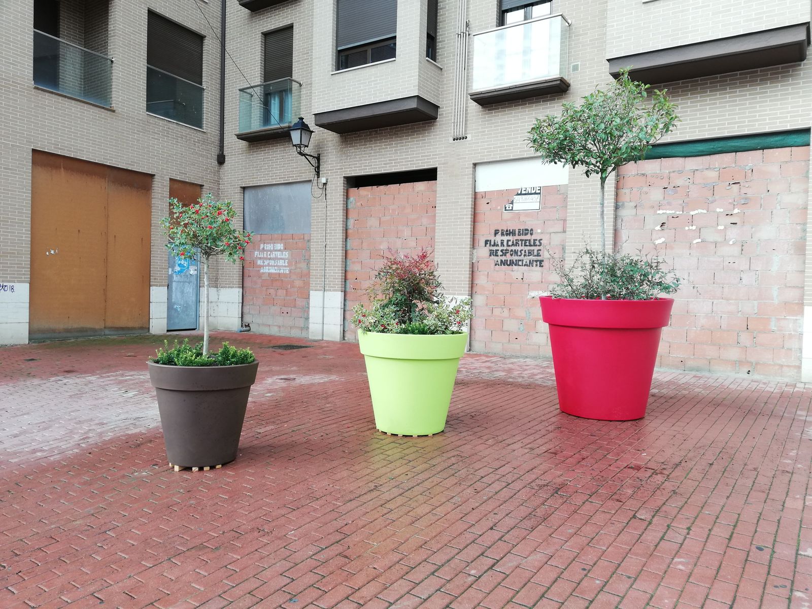 Benavente maceteros avenida el ferial (2)